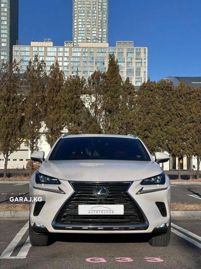 Lexus NX 2020, Бишкек