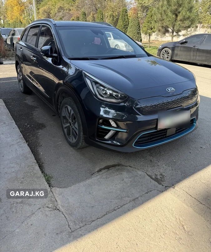 Kia Niro 2019, Ош