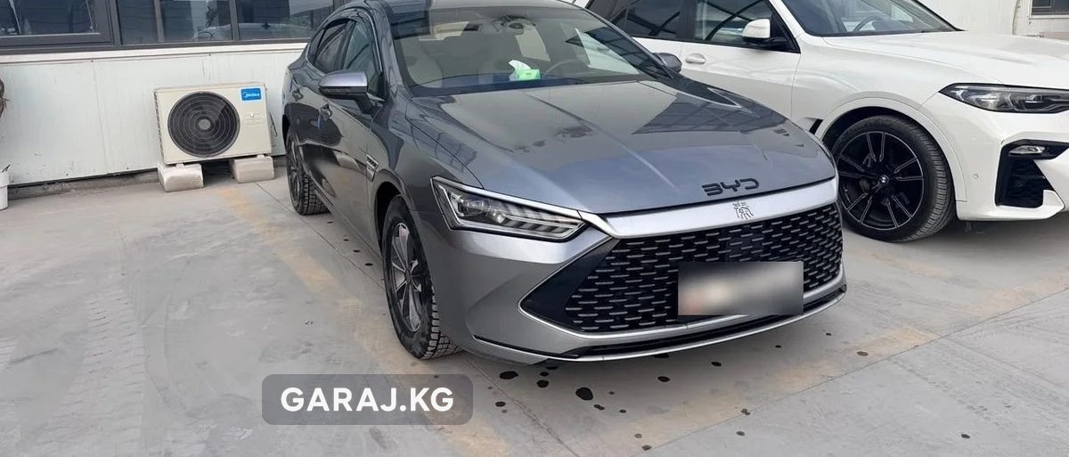 BYD Qin 2024, Кант
