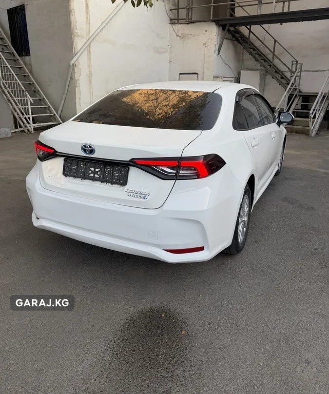 Toyota Corolla 2019, Ош